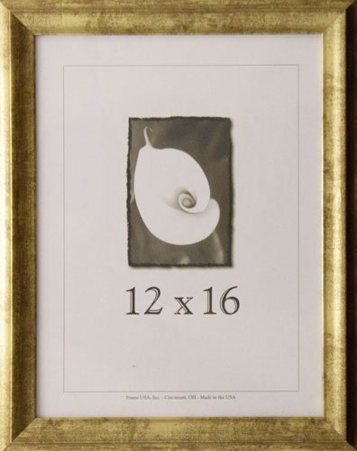 Frame USA Verona Series 12x16 Textured Narrow Wood Picture Frame in Gold - Handcrafted in USA - Perfect for Wall Art, Family Photos & Home Decor