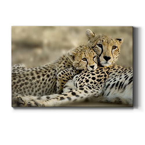 Kenya Cub
