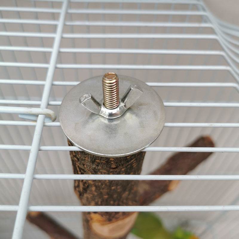 Perch & Play: Natural Wood Parrot Stand - Bird Play Gym for Parakeets, Cockatiels & Small Birds | Perfect for Playtime, Exercise & Training at Home