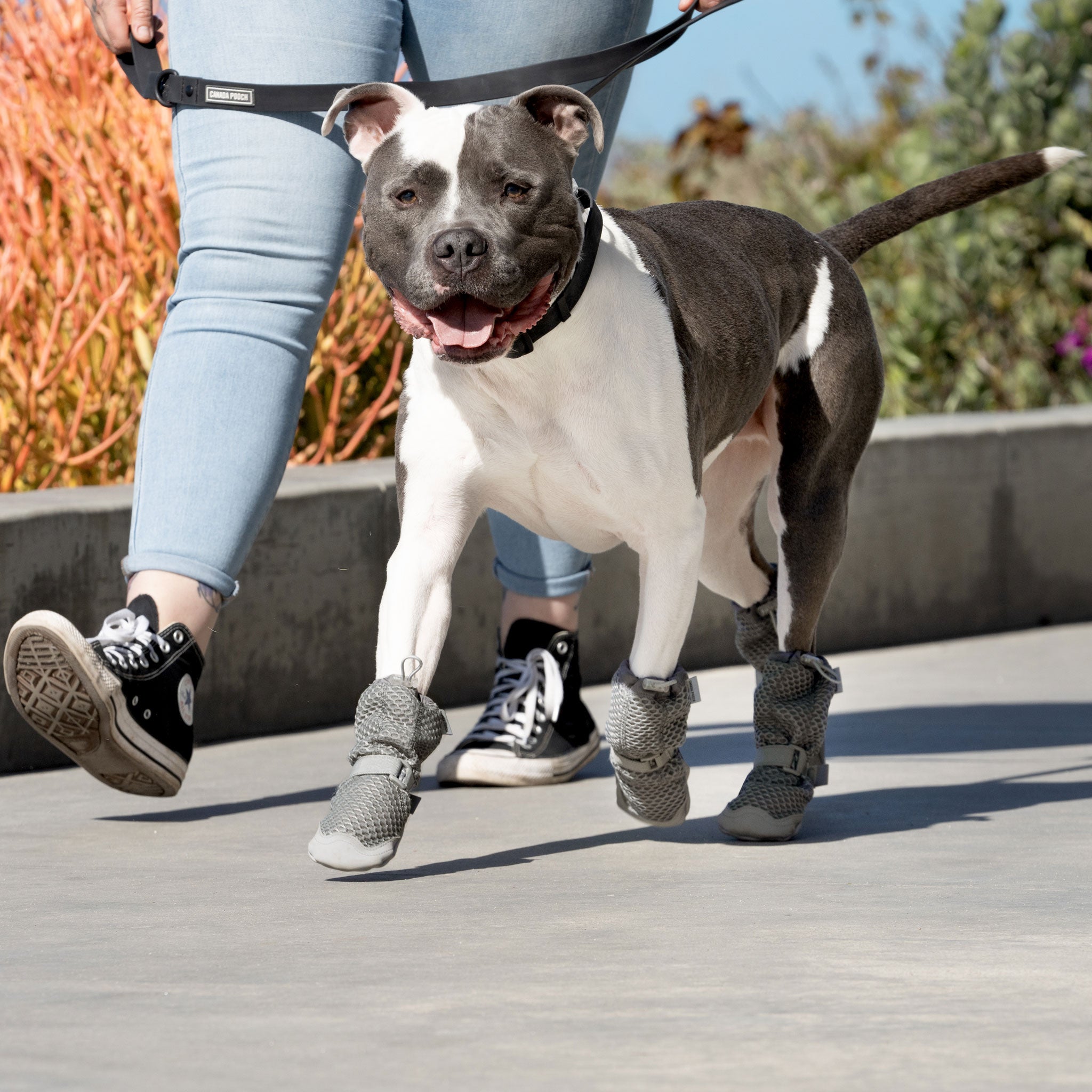 Canada Pooch Hot Pavement Dog Boots - Grey - Protective Paw Wear for Summer Walking, Hiking & Outdoor Adventures