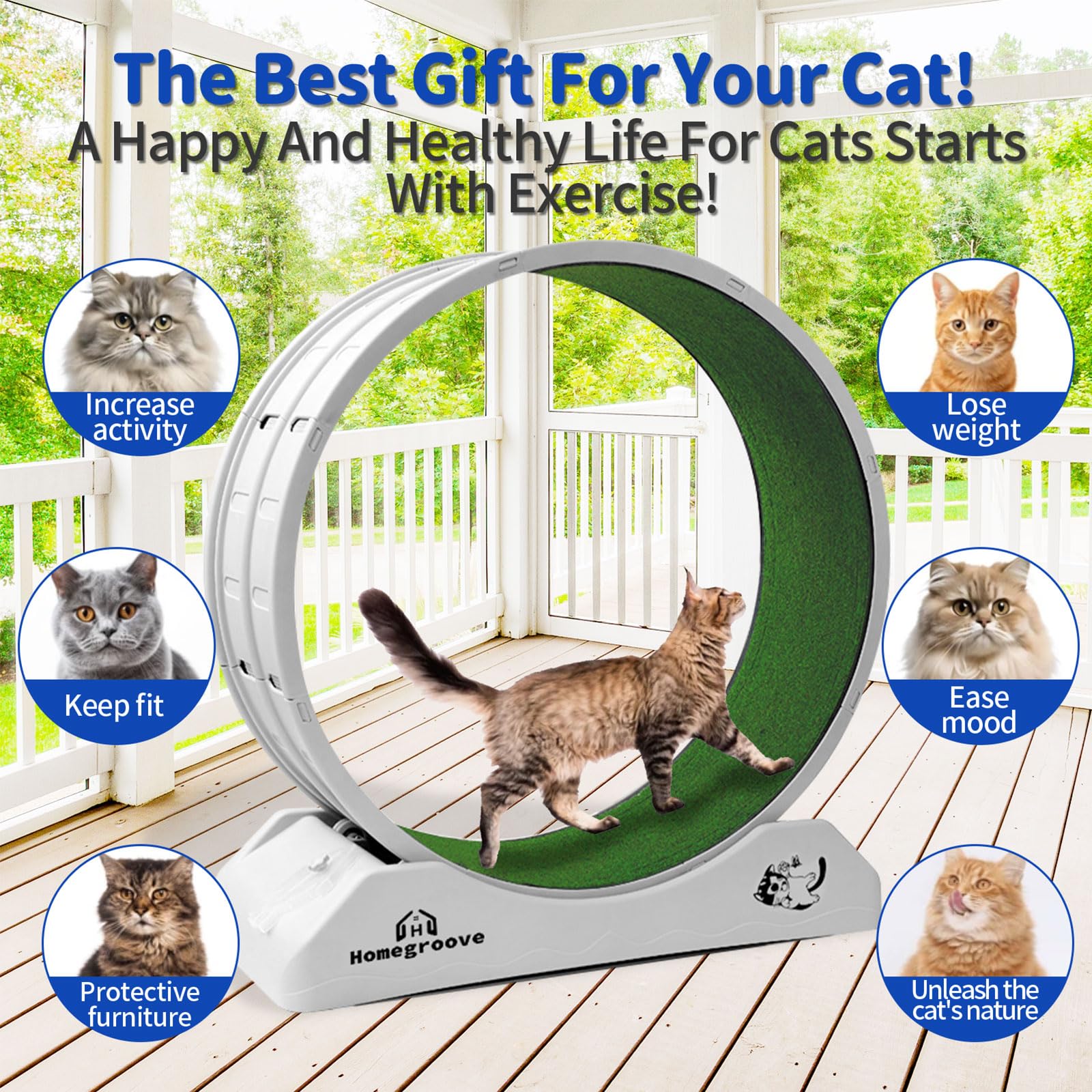 45 Inch Cat Exercise Wheel for Indoor Cats - Durable Plastic Cat Running Wheel with Soft Carpeted Runway - Large Cat Treadmill Exerciser for Fitness & Health - Perfect for Small Apartments & Active Cats