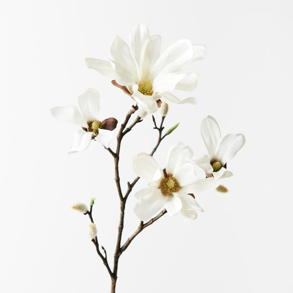 Premium White Magnolia Scented Room Spray - Floral Fragrance for Home, Office & Relaxation - Aromatherapy & Air Freshener