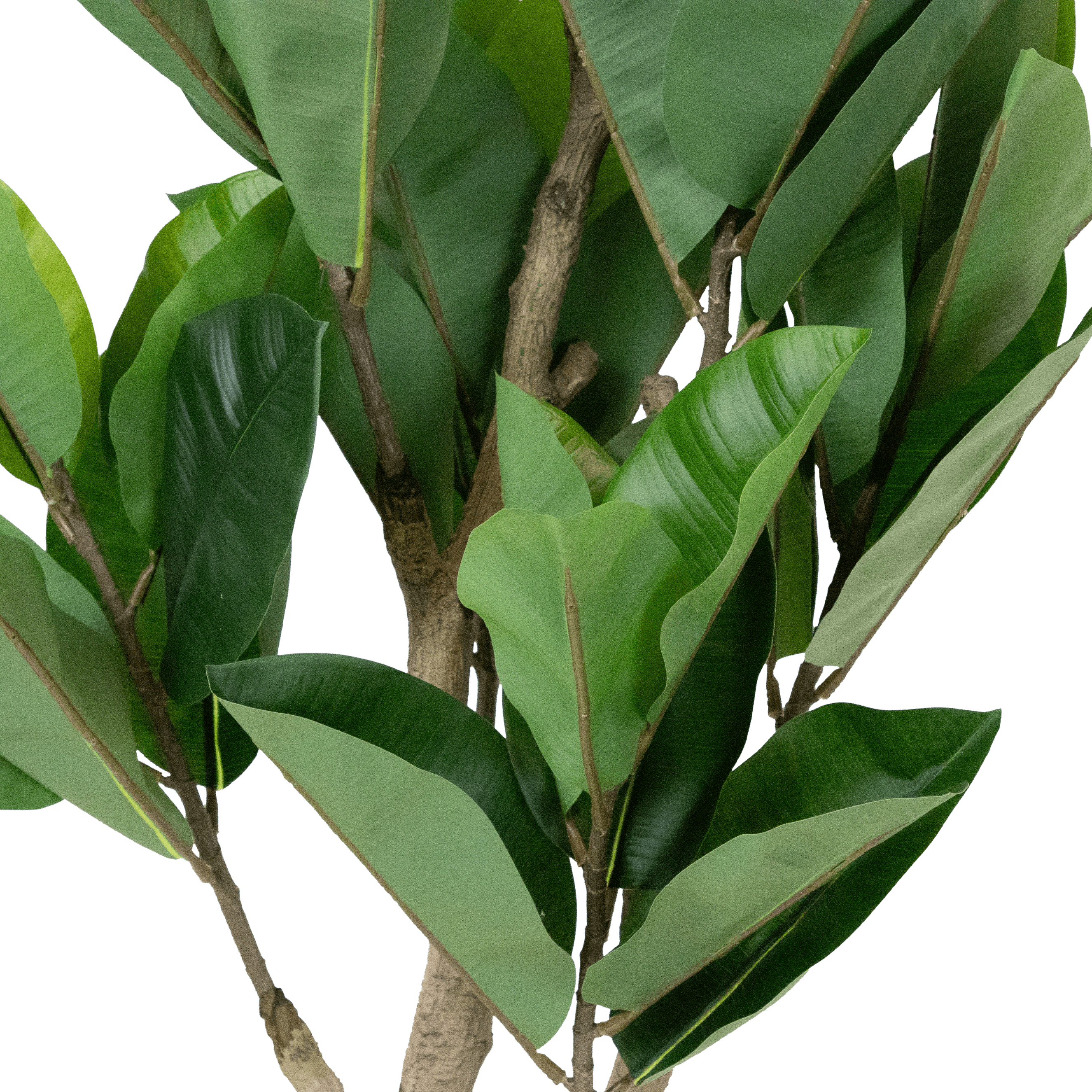 Premium 135cm Rubber Fig Tree - Artificial Fiddle Leaf Fig Plant for Home & Office Decor - Perfect for Living Room, Bedroom, or Indoor Greenery