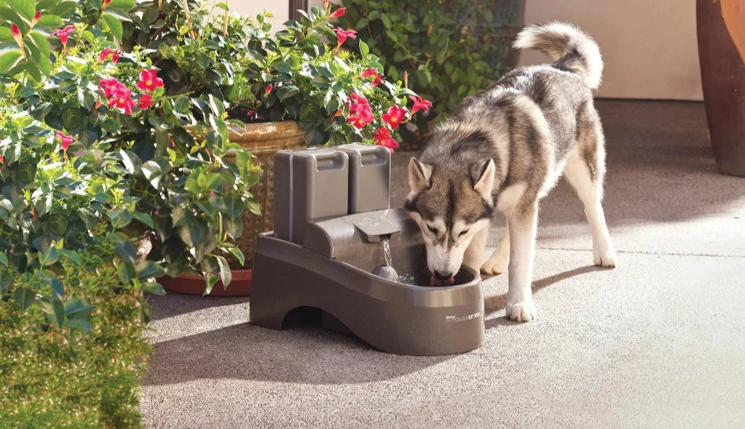 Drinkwell® Outdoor Dog Water Fountain - Automatic Pet Drinking Fountain for Large & Small Dogs - Weatherproof & Durable Design - Perfect for Backyard, Patio & Garden Use