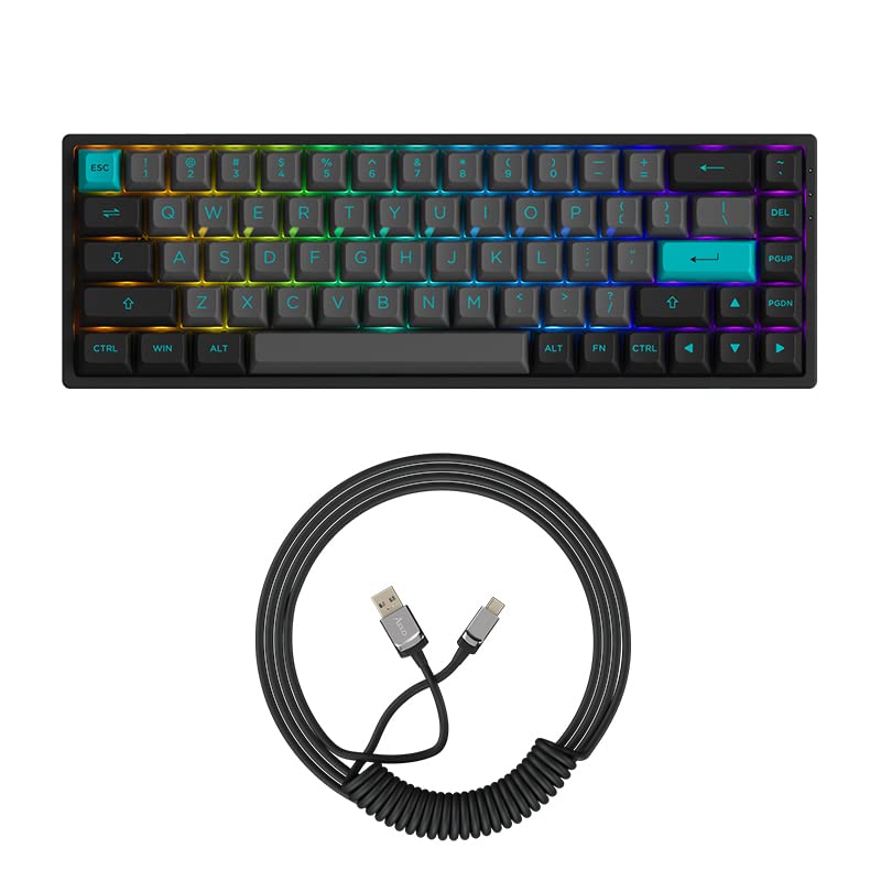Akko 3068B Plus 65% Hot-Swappable Mechanical Gaming Keyboard with USB-C Coiled Cable, RGB Backlit, Jelly Pink Linear Switches & PBT Double-Shot Keycaps - Perfect for Typing, Programming & Esports Gaming
