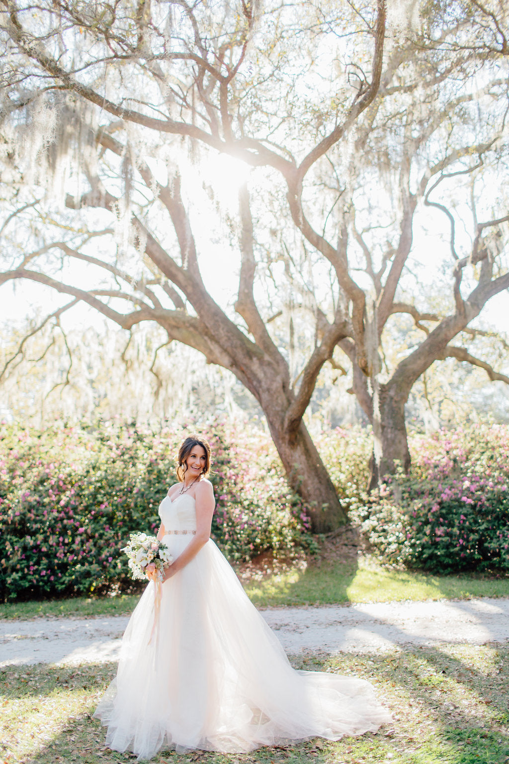 Hayley Paige Bella Candi Blush Wedding Gown - Elegant A-Line Bridal Dress for Romantic Ceremonies & Formal Events