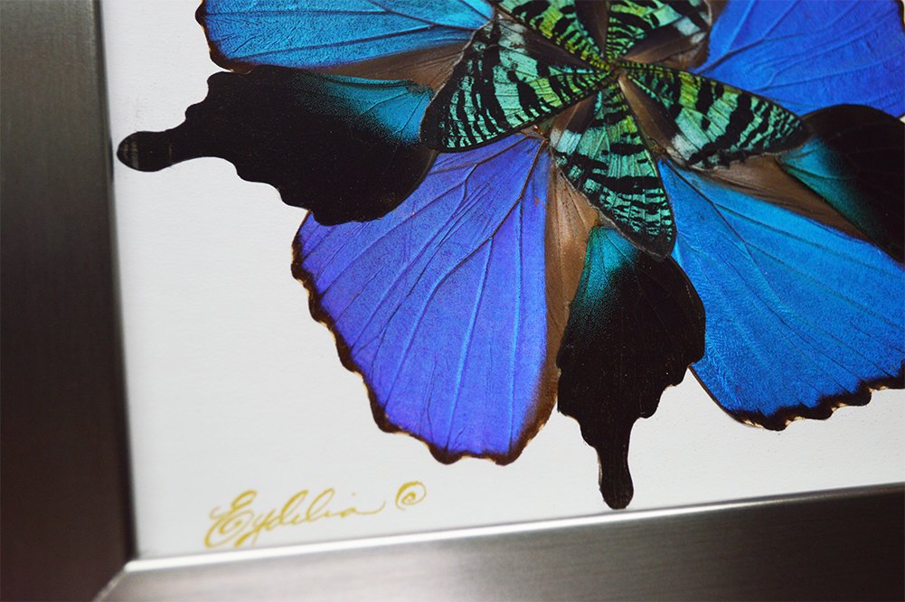 Eydelia Butterfly Wing Wall Art - Blue Floral Home Decor for Living Room, Bedroom & Office