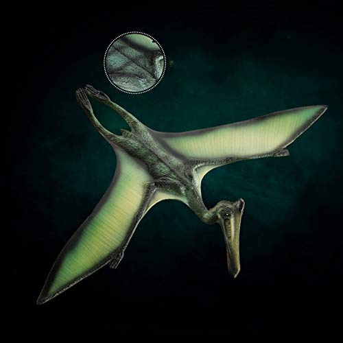 Gemini & Genius 3-Piece Pterodactyl Action Figure Set - Realistic Flying Dinosaur Toys, Pteranodon & Pterosaur Models for Kids - Perfect for Birthday Cakes, Dino Parties & Educational Play