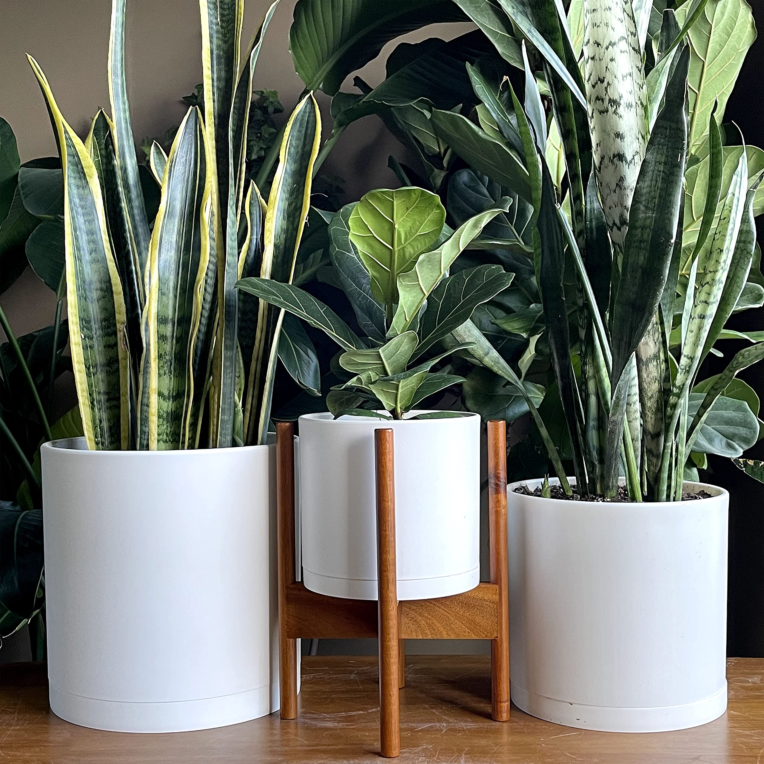 D'vine Dev Set of 3 Plastic Plant Pots - 8, 10 & 12 Inch White Planters with Drainage Holes & Saucers - Indoor/Outdoor Flower Pots for Home, Garden & Office Decor