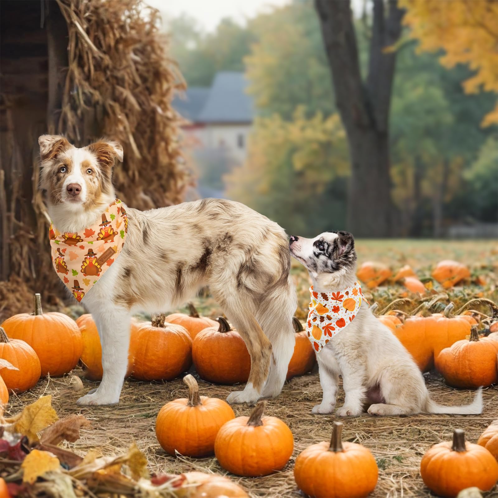 Vehomy 3-Pack Thanksgiving Dog Bandanas - Reversible Pet Turkey Bandana with Autumn Patterns (Turkey, Maple Leaves, Pumpkins) for Small Medium Large Dogs & Cats - Perfect for Thanksgiving, Fall Festivals & Holiday Pet Photos