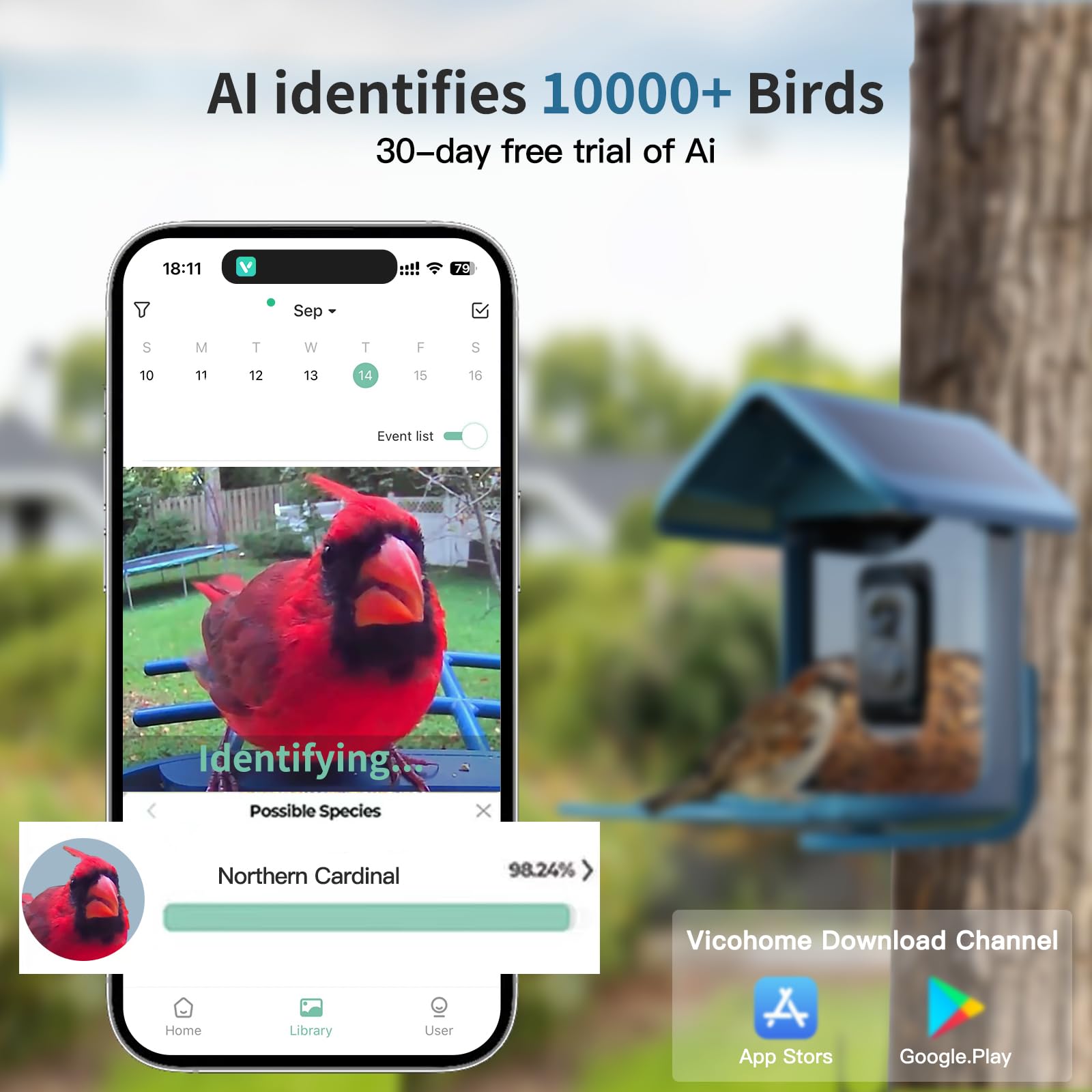 Solar Powered Smart Bird Feeder with 2K Camera - AI Bird Identification, Auto Video Capture, 2.4GHz WiFi, Live Streaming - Perfect Outdoor Backyard Gift for Bird Lovers (Great for Bird Watching & Nature Observation)