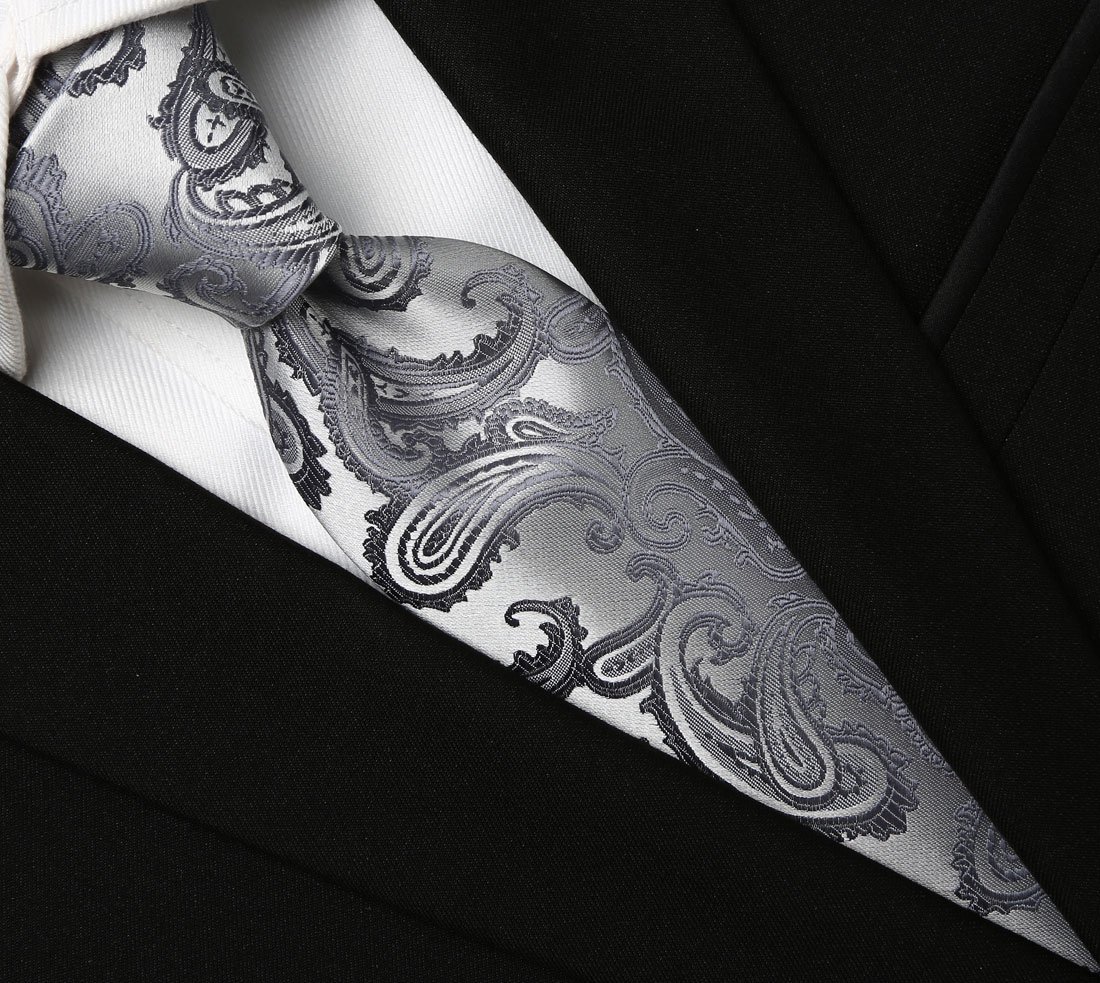 KissTies Men's Classic Paisley Necktie for Business, Wedding & Formal Events - Premium Silk Tie with Gift Box - Perfect for Office, Interviews & Special Occasions