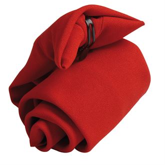 Clip On Tie for Men - Adjustable & Easy to Wear Necktie (PR710) - Perfect for Business, Weddings & Formal Events