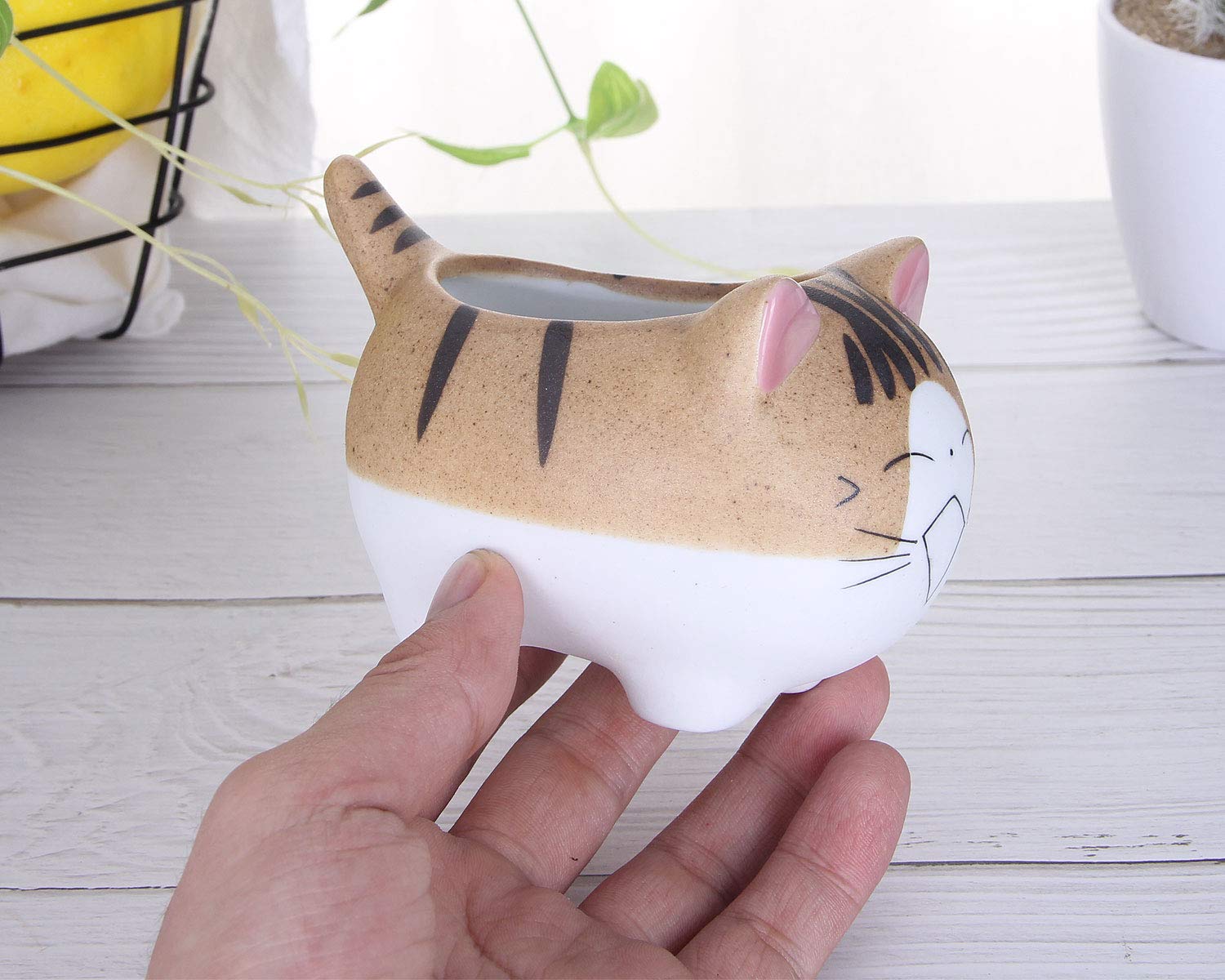 VanEnjoy 4.7 Inch Large Cat Succulent Planter - Ceramic Flower Pot with Drainage Hole, Handmade Cat Lover Gift for Office Desk, Home Decor & Garden Planting