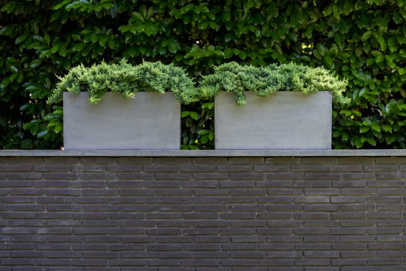 Modern Grey Rectangular Fiberstone Planter - 16 Inch Tall Indoor/Outdoor Pot for Plants, Succulents, Herbs | Durable & Stylish Home & Garden Decor for Patio, Balcony, Living Room