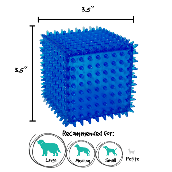 Gnawsome Spiky Squeaker Cube Dog Toy - Durable Chew Toy for Aggressive Chewers, Interactive Puppy Teething Toy for Small & Large Dogs - Perfect for Indoor Play, Outdoor Fetch & Training Sessions