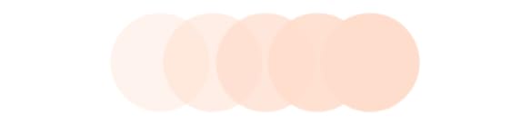 LIGHT Foundation