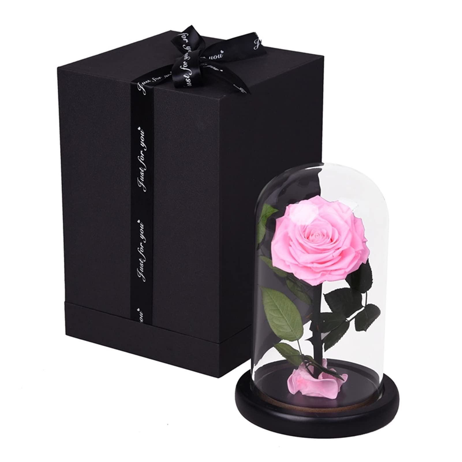Beauty and The Beast Rose in Glass Dome - Pink Preserved Eternal Rose Flower Gift for Valentine's Day, Birthday, Anniversary - Perfect for Home Decor, Wedding Centerpiece & Romantic Surprise