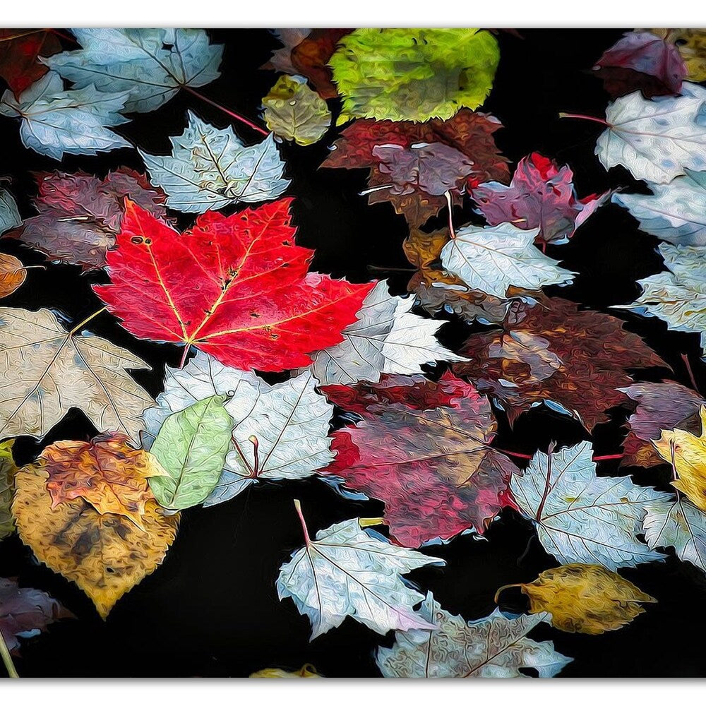 Autumn Leaves by David W. Pollard - Stunning Canvas Wall Art Print, Ready to Hang - Perfect for Living Room, Bedroom & Office Decor