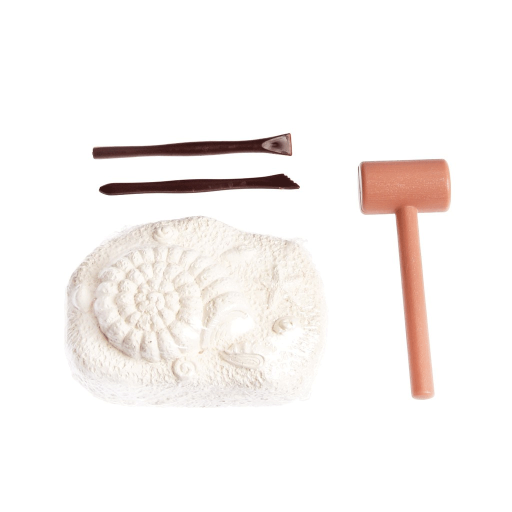 Dinosaur & Sea Creature Excavation Kit - STEM Educational Fossil Digging Toys for Kids, Science Learning Activity for Classroom & Home Schooling