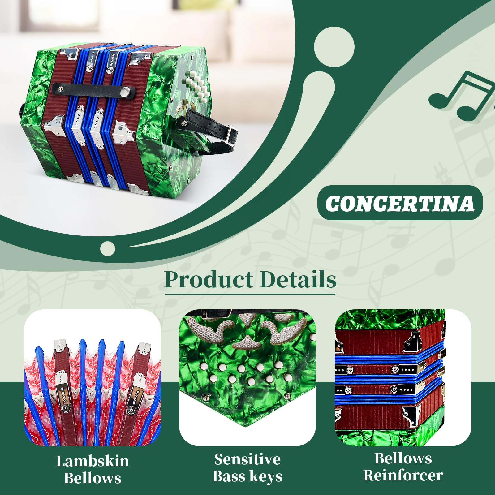 20-Key Professional Concertina Accordion for Adults & Beginners - Adjustable Hand Straps, Green - Perfect for Folk Music, Irish Sessions & Live Performances