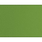 Stardream Metallics Fairway 81# A9 Envelopes - Pack of 100 Premium Textured Envelopes for Wedding Invitations, Greeting Cards & Business Correspondence by Limited PapersTM
