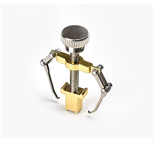 Vitalogy Ingrown Toenail Corrector Tool with Case - Professional Pedicure Corrector, Nail Lifter & Straightener for Ingrown & Fungal Toe Nails | Gold | Perfect for Home Foot Care & Pain Relief