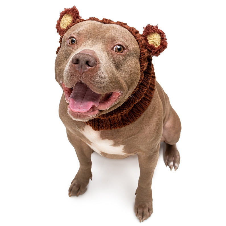 Cozy Fuzzy Bear Dog Snood - Warm & Stylish Winter Pet Accessory for Small & Medium Dogs - Perfect for Cold Weather Walks & Outdoor Adventures