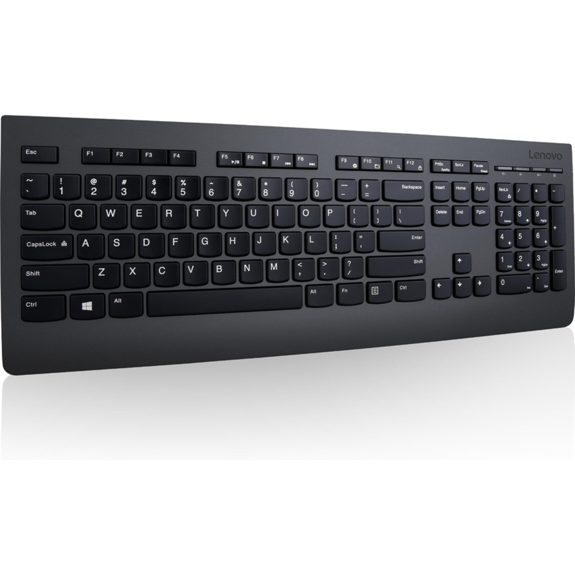 Lenovo Professional Wireless Keyboard and Mouse Combo - 2.4GHz USB Receiver, Full-Size Ergonomic Design, 24-Month Battery Life, Black | Perfect for Office, Home & Gaming Use