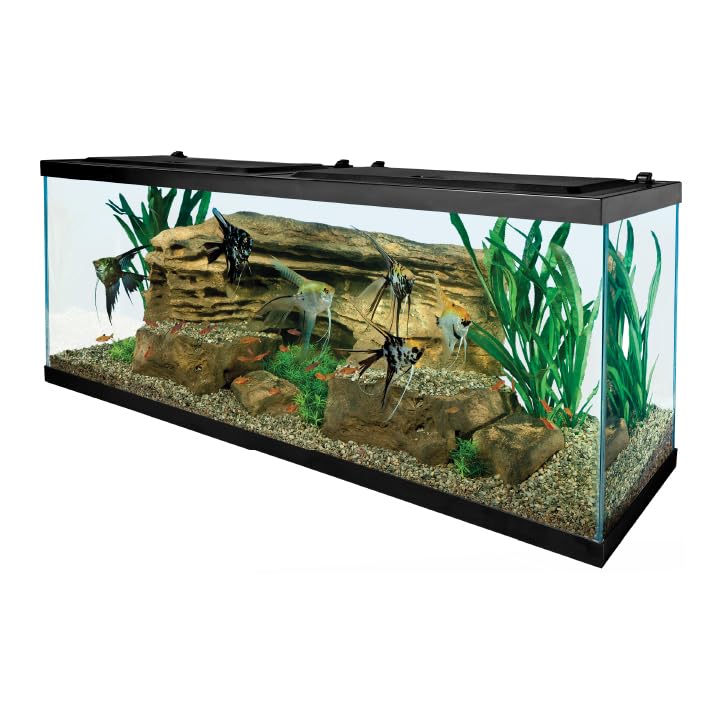 Tetra Complete LED Aquarium 55 Gallons Kit with LED Lighting, Filter, Heater & Accessories - Perfect for Home, Office & Fish Tank Enthusiasts