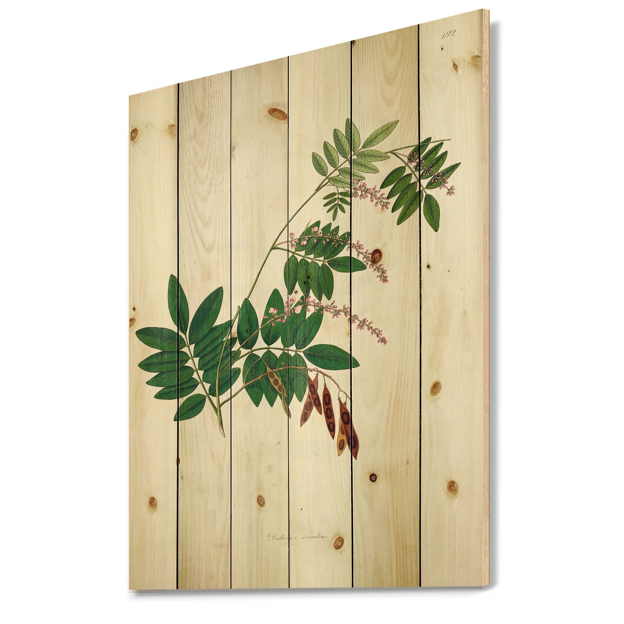 Vintage Botanicals Farmhouse Wood Wall Decor - Green Floral Wood Art Panels Printed on Natural Pine - Perfect for Living Room, Bedroom & Home Office Decor