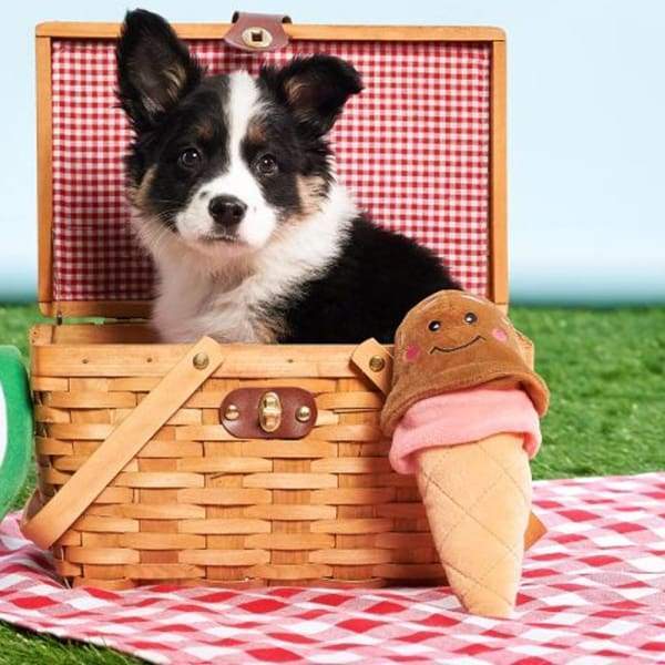 ZippyPaws NomNomz Ice Cream Plush Dog Toy - Interactive Chew Toy for Puppies & Small Dogs - Fun Treat Dispensing Playtime for Indoor & Outdoor Use