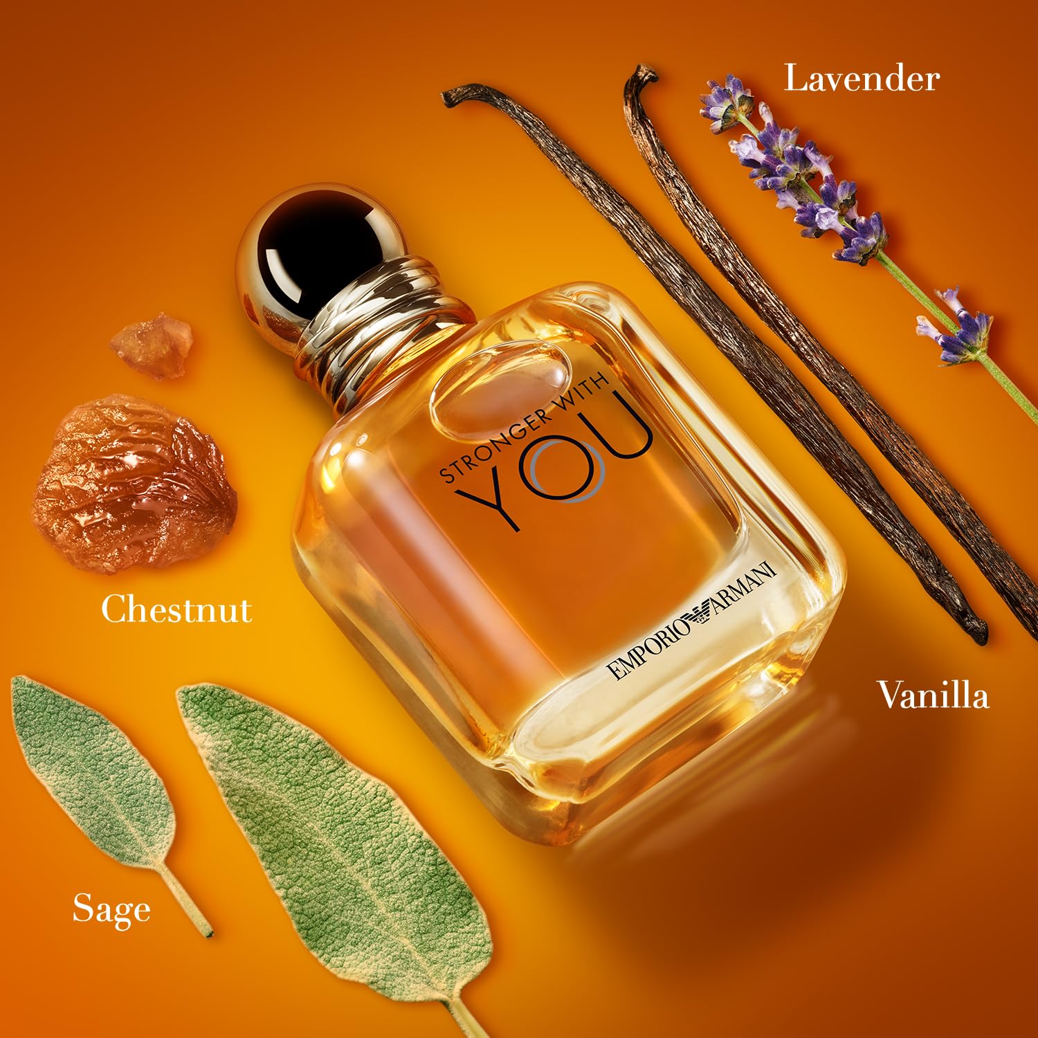 Armani Beauty Stronger With You Eau de Toilette for Men - Warm Spicy Cologne with Chestnut, Lavender, Sage & Vanilla Notes - Perfect for Date Night, Office & Special Occasions