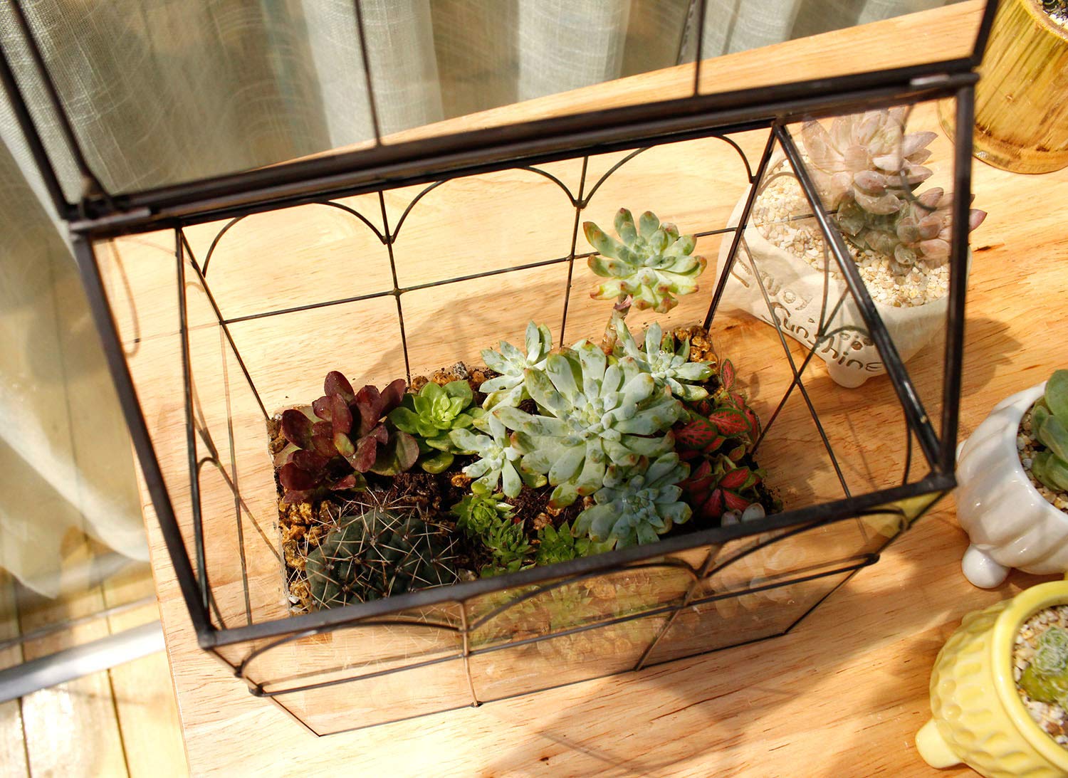 Glass Geometric Plant Terrarium for Succulents & Air Plants - Modern Home, Office & Garden Decor (Black) | Perfect for Indoor Plant Display, Wedding Centerpieces & Gift Ideas