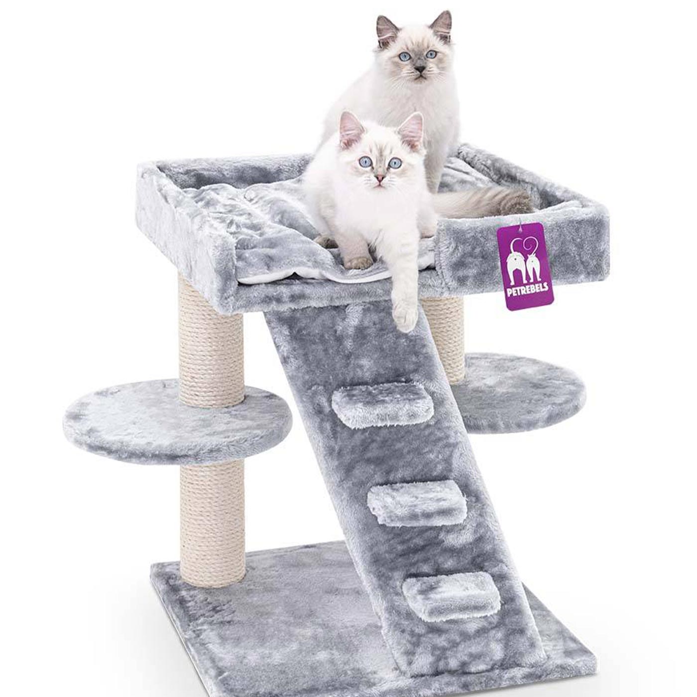 Little Rebels Tucson 61cm Cat Tree - Premium Scratching Post with Perch & Condo for Indoor Cats - Perfect for Play, Rest & Climbing in Small Spaces