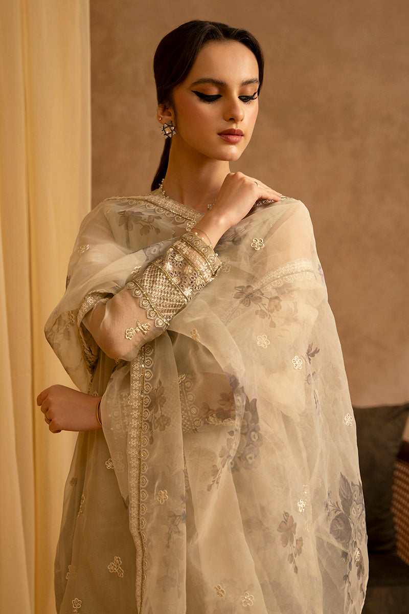 Island Fossil 2-Piece Organza Embroidered Suit for Women - Elegant Formal Outfit for Weddings, Parties & Special Occasions