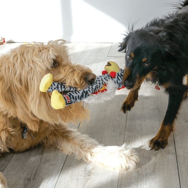 Durable KONG Wishbone Dog Chew Toy for Aggressive Chewers - Interactive Pet Toy for Small & Large Dogs - Perfect for Playtime, Training & Dental Health