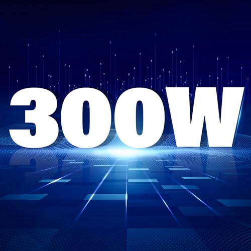 300W