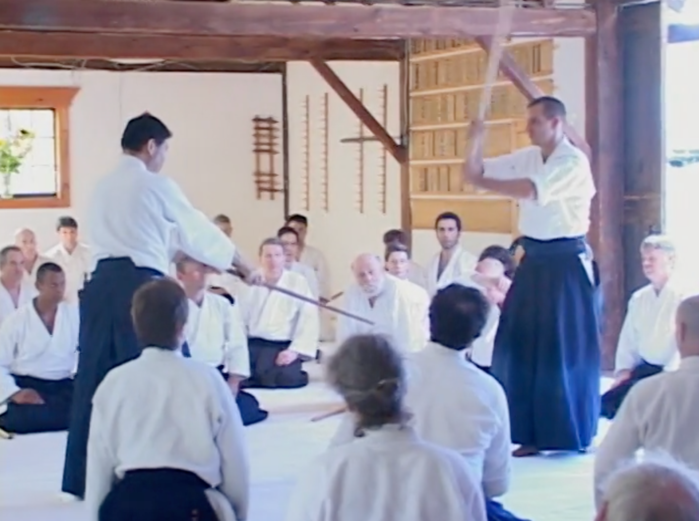 Seiichi Sugano Aikido Weapons Training DVD with Transcript Booklet - Learn Aikido Techniques for Self-Defense & Martial Arts Practice at Home