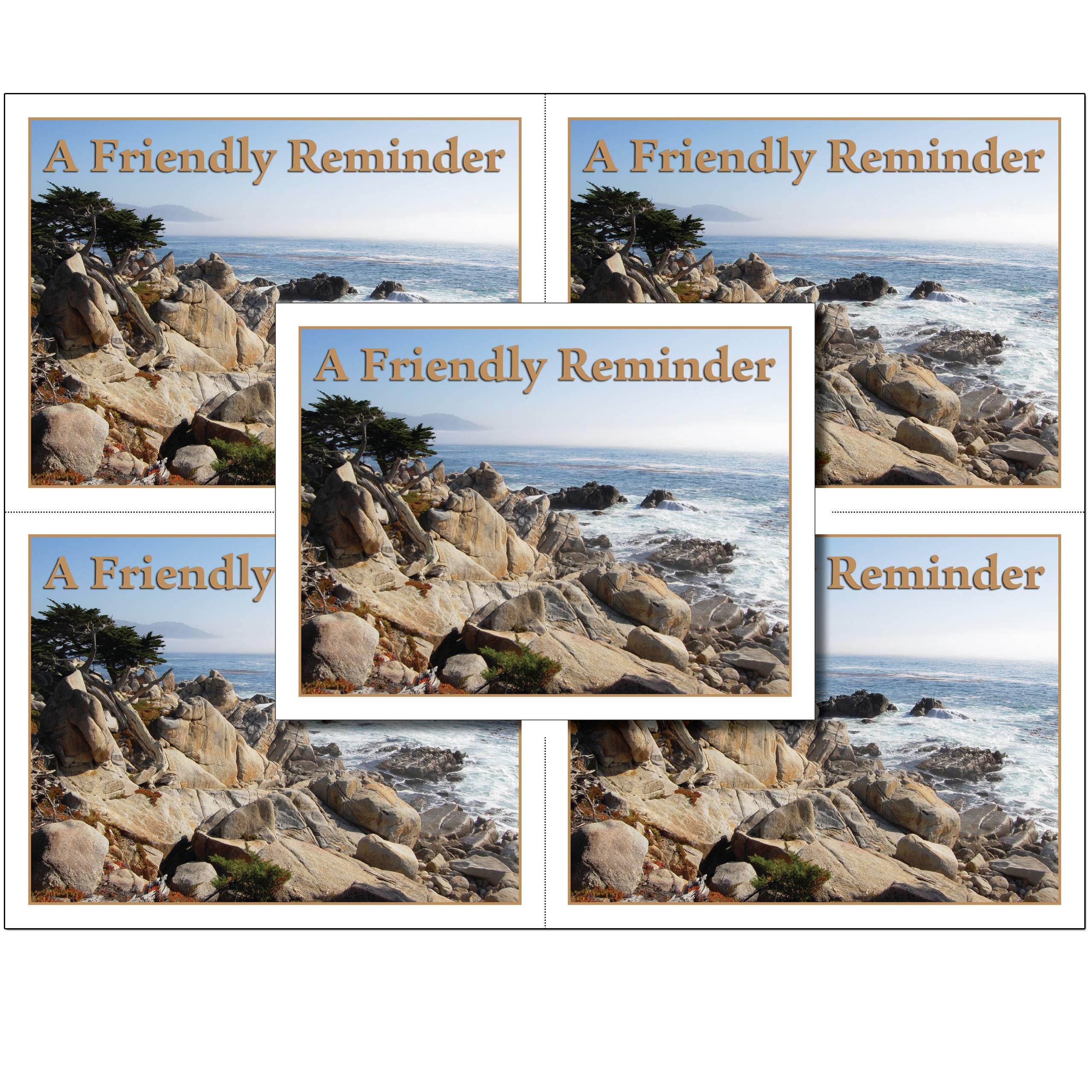 Laser Reminder Postcards for Dental, Optometry, Veterinary & Chiropractic Offices - 500 Pack of 4.25
