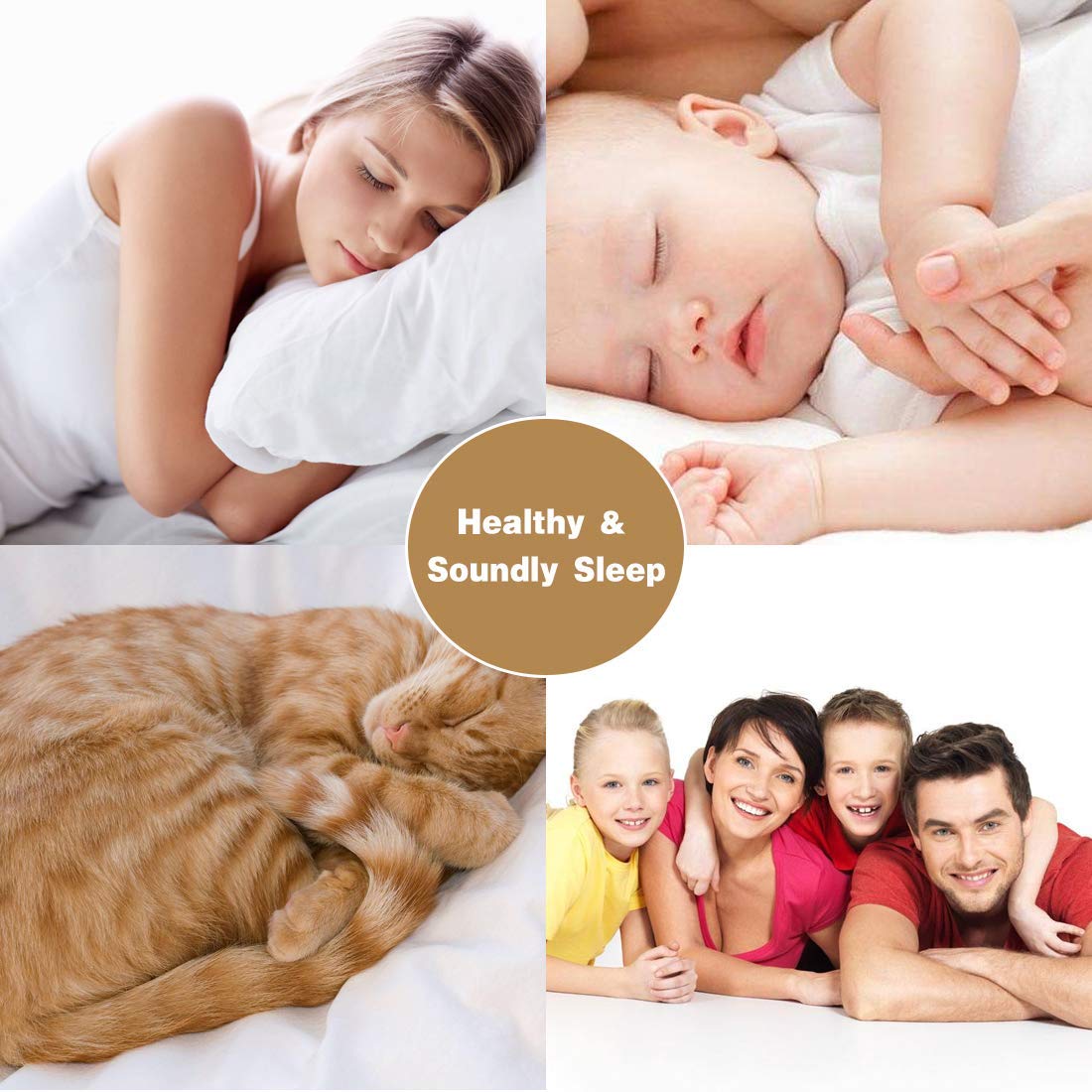 Luxury 300 GSM Microfiber 4-Piece Queen Bed Sheet Set - Super Soft Hotel Quality Deep Pocket (Fits 13