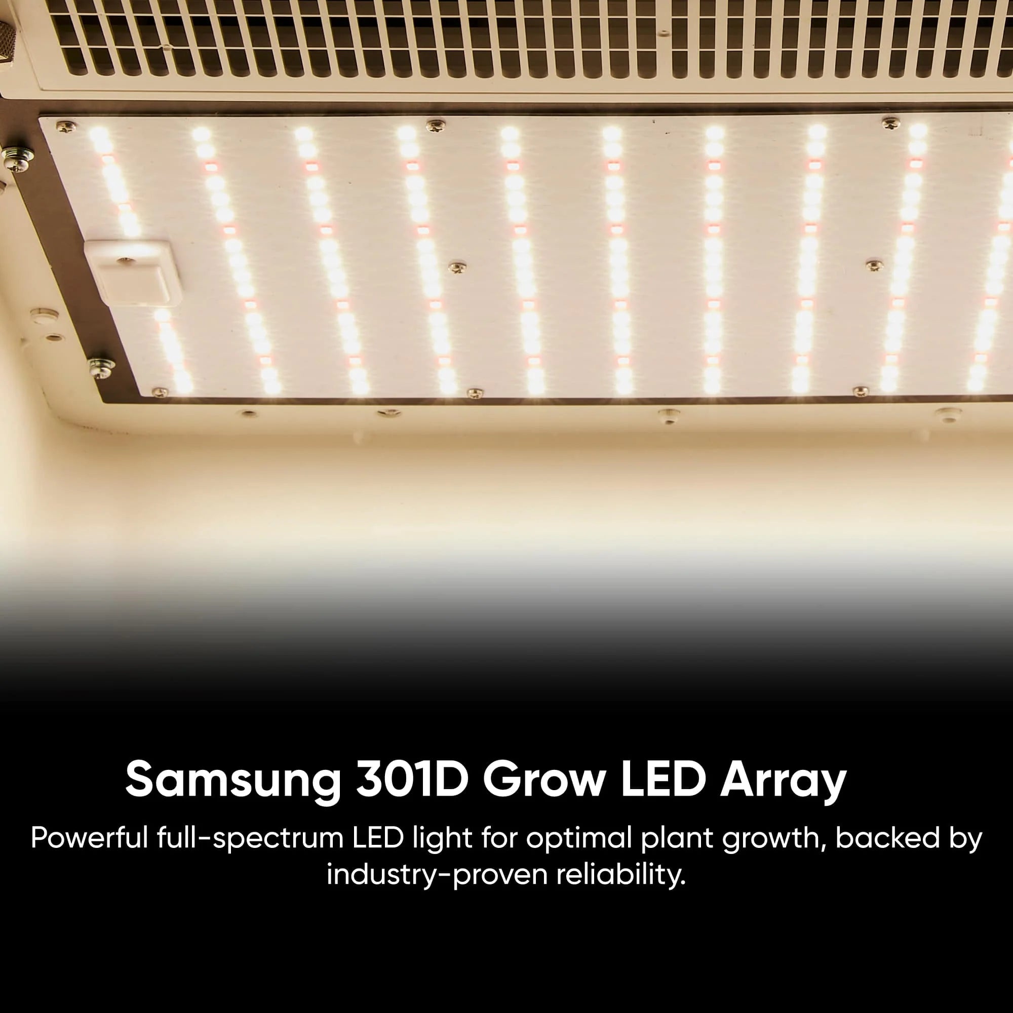 Hey abby Soil Edition Automated Grow Box System - Indoor Hydroponic Gardening Kit with 3-Month Subscription - Perfect for Home, Office & Small Space Herb Planting