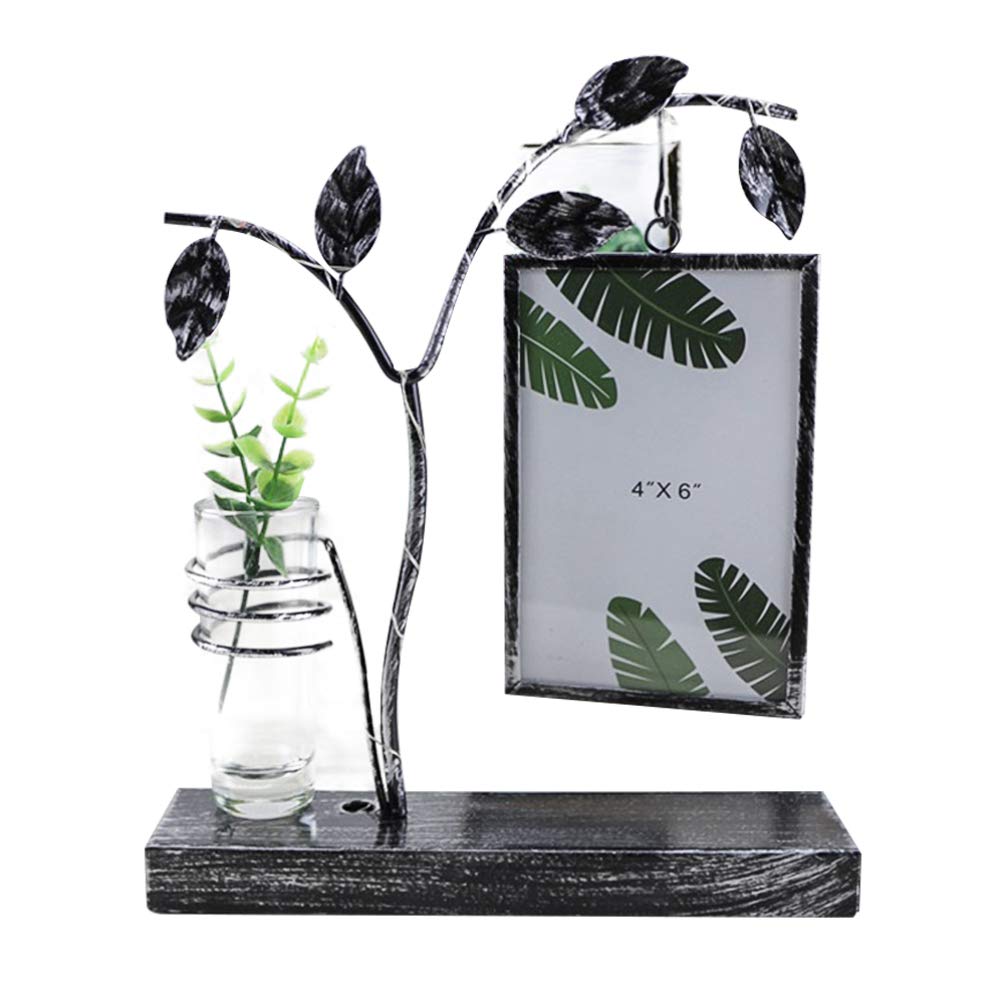 EXCEART Glass Tube Vase - Decorative Terrarium for Plants, Flowers & Photos | Bulb Tube Flower Pot with Picture Frame | Home & Office Decor for Living Room, Wedding Centerpiece, Gift Idea