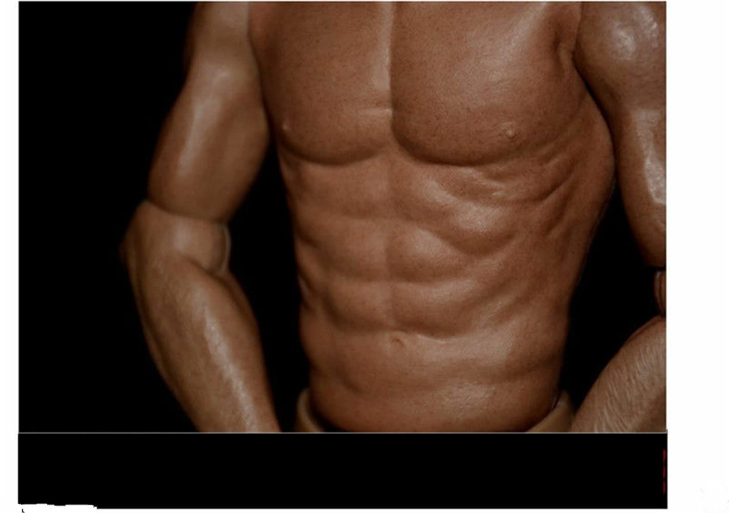1/6 Scale Male Action Figure Body - 12 Inch Narrow Shoulder Muscular Flexible Collectible Model for Custom Dolls & Diorama Displays