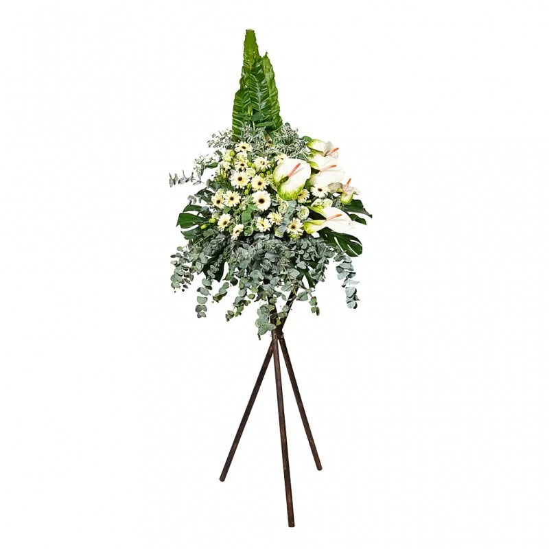 Sympathy 25 - Thoughtful Gifts for Condolences & Sympathy - Perfect for Funeral, Memorial Services & Comforting Loved Ones
