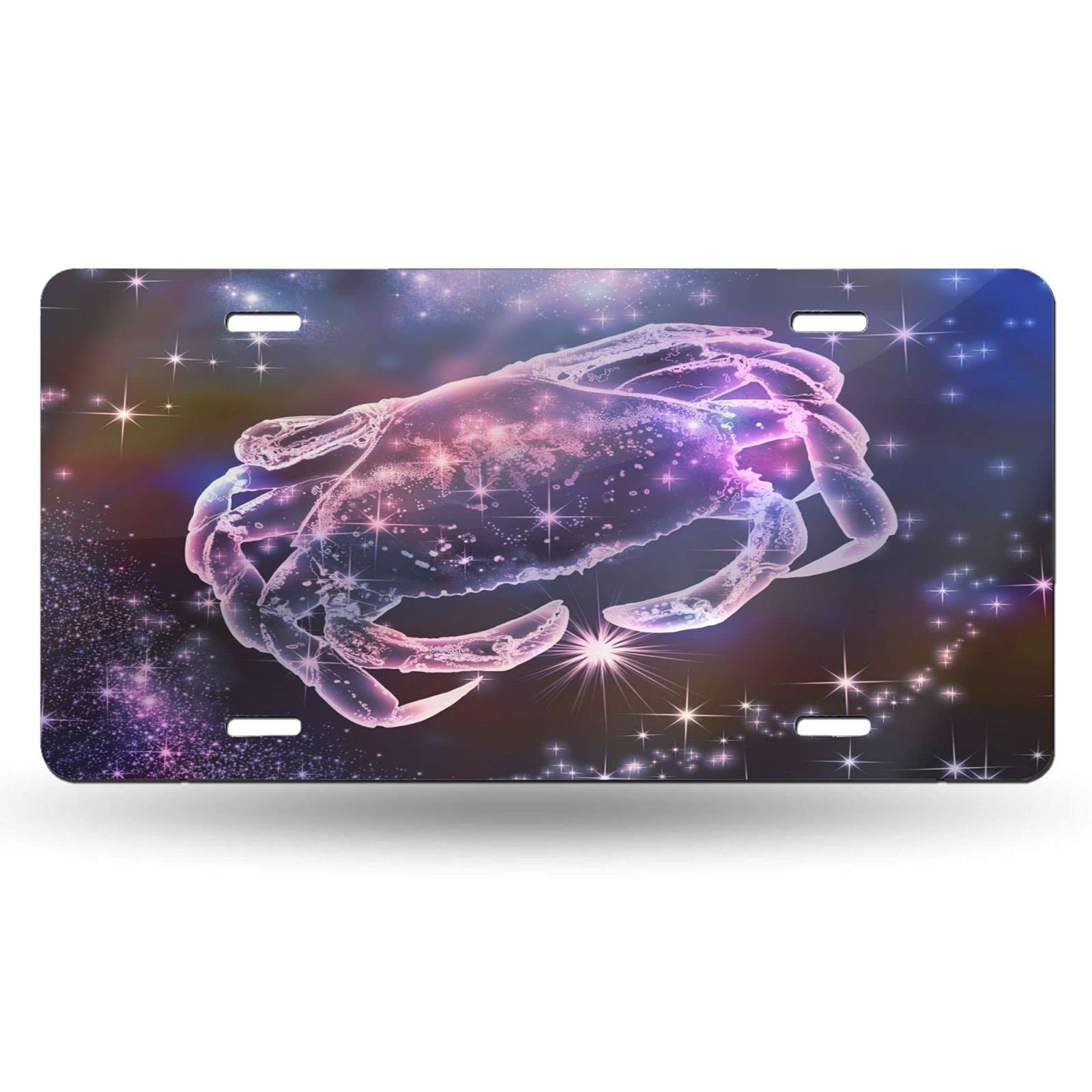 Custom Delerain Aluminum Vanity License Plate - 6x12 Inch Cancer Awareness Car Front Plate for Men, Women, Boys & Girls | Perfect for Personalization, Car Decor, and Supporting Cancer Causes