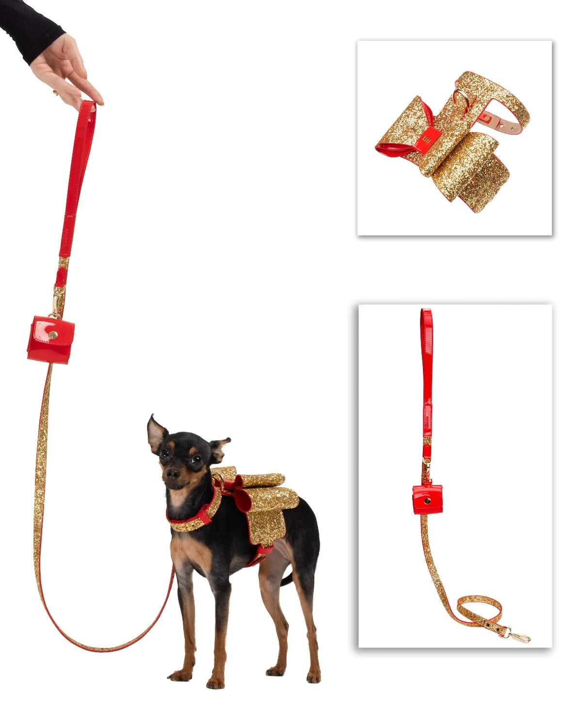 Glam Dog Bundle - Stylish Pet Accessories for Small & Large Dogs | Perfect for Grooming, Fashion & Daily Walks
