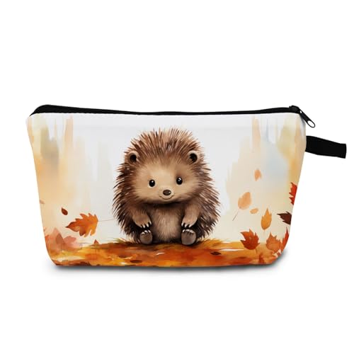 Animal Hedgehog