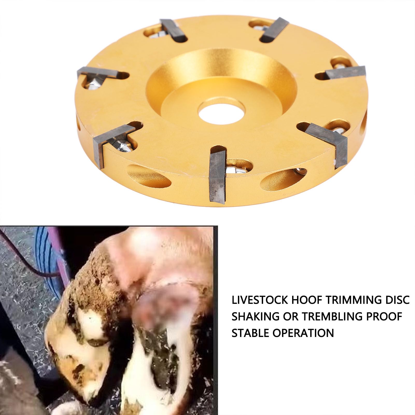 Livestock Hoof Trimming Disc - Durable Metal Alloy Hoof Grinder for Cattle, Sheep & Horses | Professional Hoof Care Tool for Farmers & Ranchers | Perfect for Barn Maintenance & Livestock Grooming