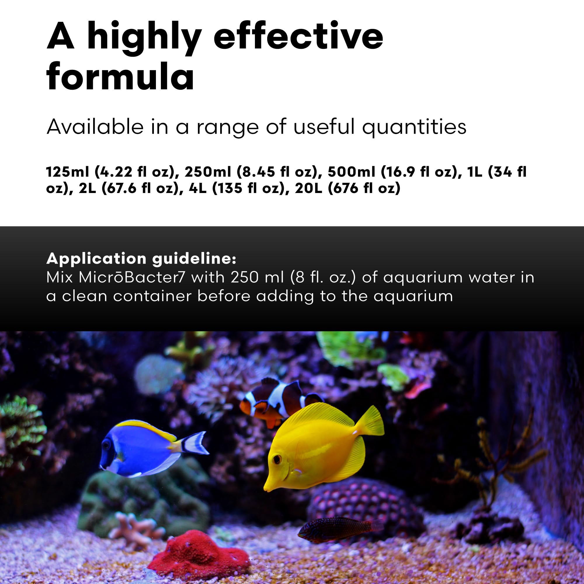 Brightwell MicroBacter7 Aquarium Biofilter - Saltwater & Freshwater Fish Tank Treatment (4.2oz) for Clean Water